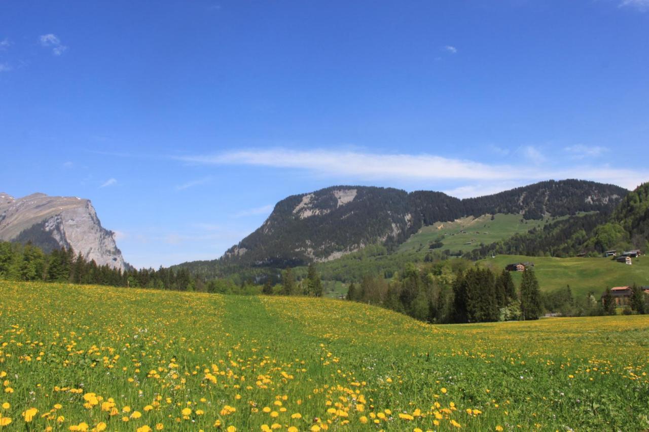 Kanistraum Appartement Schoppernau Eksteriør billede